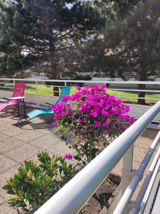 Comme Chez Vous Leilighet Strasbourg Eksteriør bilde